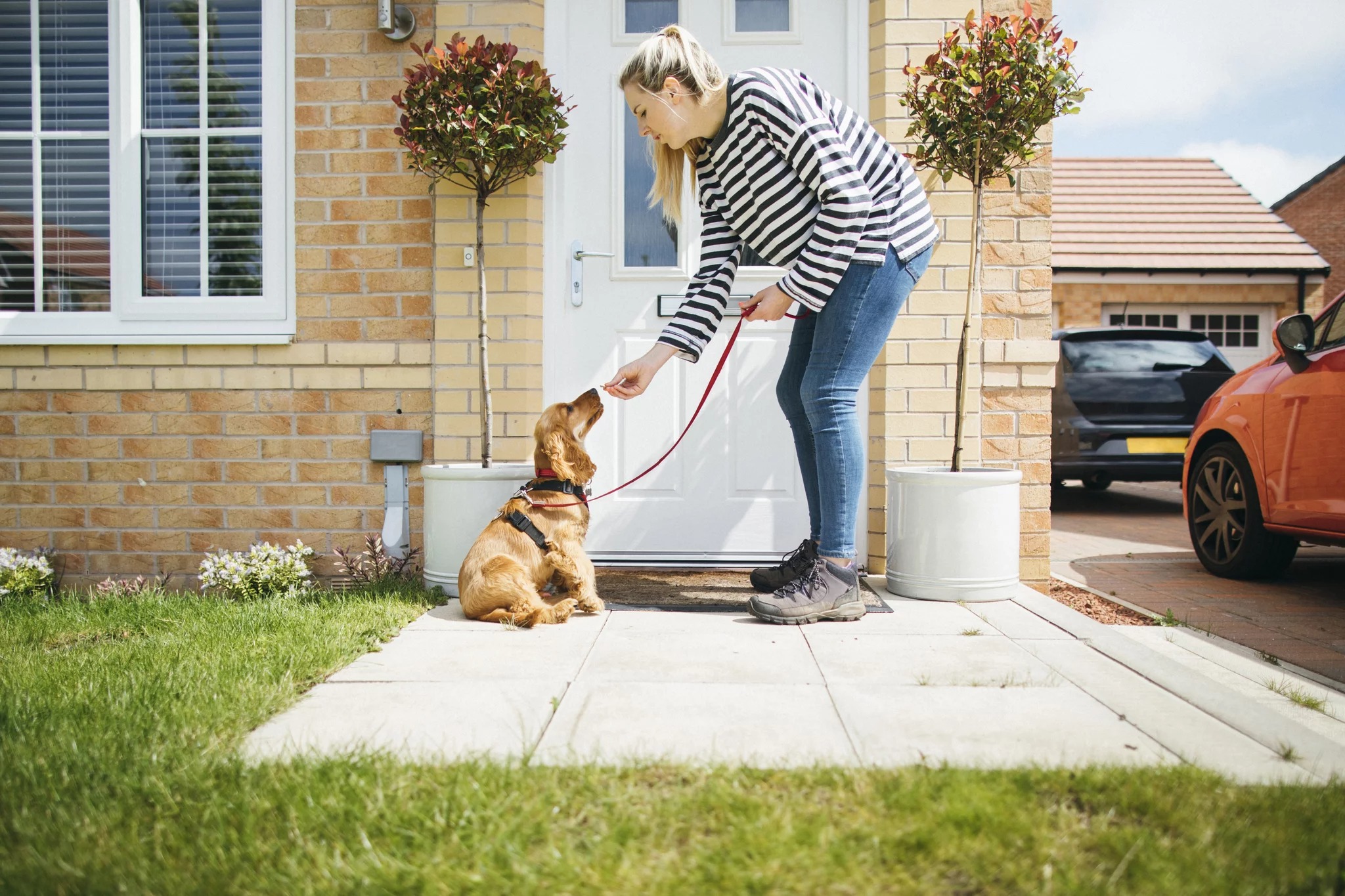 Reward your dog during the walk