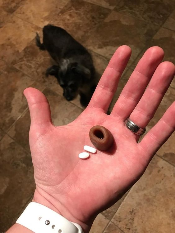 Hide the pill in your pet's favorite food