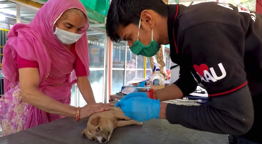 Pet Aid Unlimited rescuers arrived on scene to help a tiny puppy lying on the ground who could not relocate her head.